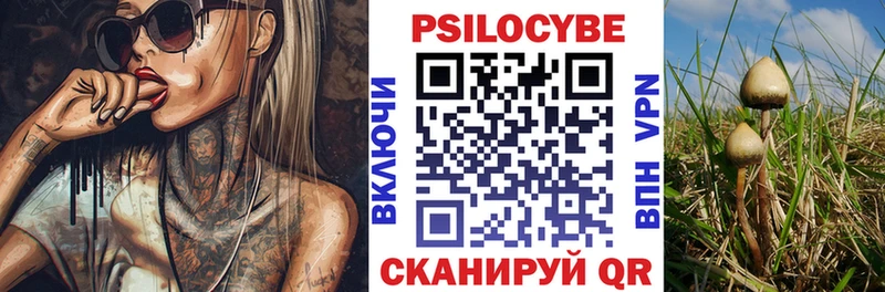 Псилоцибиновые грибы GOLDEN TEACHER  Пойковский 